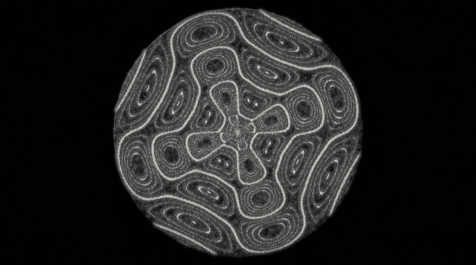 White sand gathered into a round, star-like figure on a dark plate